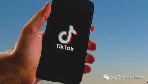 tiktok最新爆料,行业动态与未来趋势深度解析 第1张 tiktok最新爆料,行业动态与未来趋势深度解析 第1张