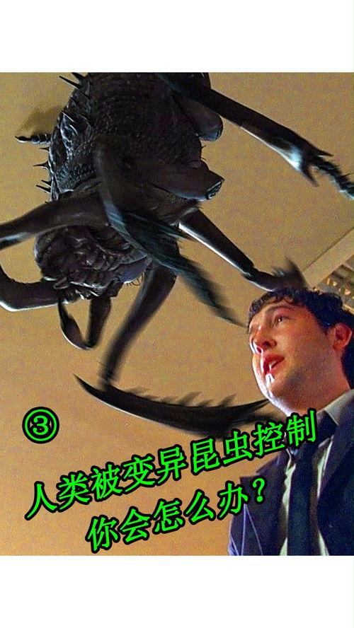 害虫横行 在线观看,在线惊悚直播，揭秘虫灾肆虐的恐怖世界  第3张